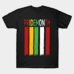 PrideMonth Flag Logo T-Shirt